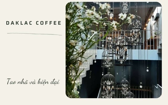 DacLak Coffee Buôn Ma Thuột 