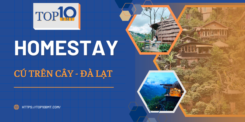 Cu Tren Cay Homestay o Da Lat